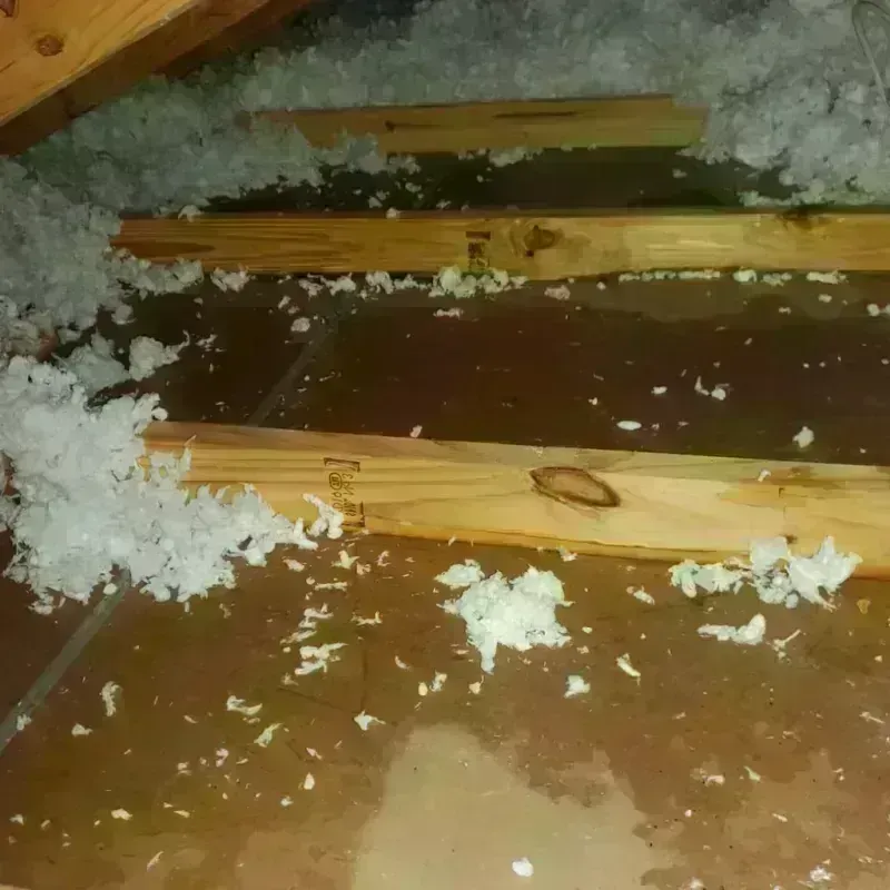 Attic Water Damage in Laguna Vista, TX